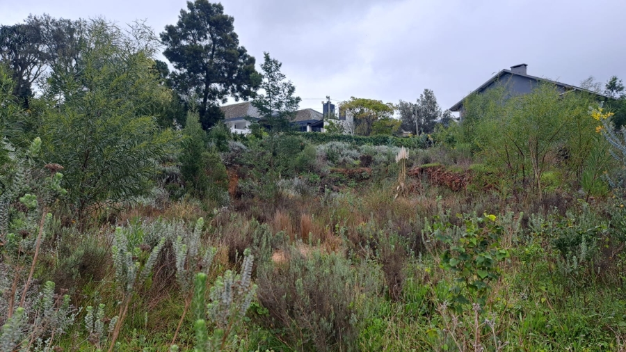0 Bedroom Property for Sale in Caledon Western Cape